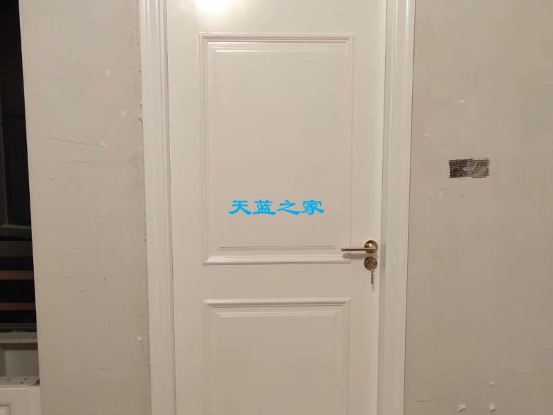 实木复合烤漆门(29)